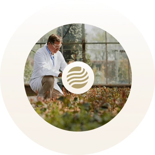 Stockfoto für das Transformationsschaubild